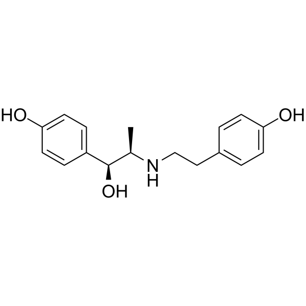 利托菌