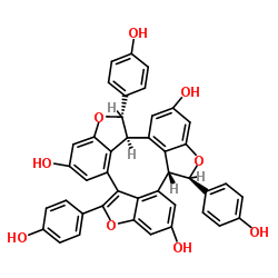 (±)-caraphenol A