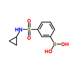 (3-(N-环丙基氨磺酰)苯基)硼酸