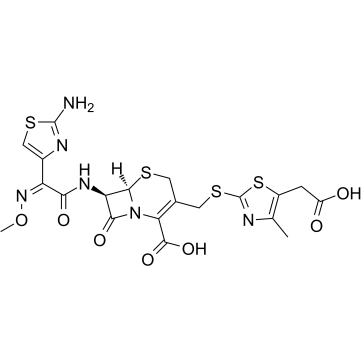 头孢地嗪酸