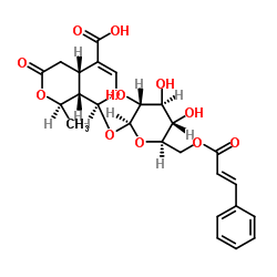 6'-O-反式-肉桂酰 8-表金吉苷酸