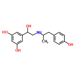 非诺特罗