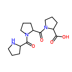 聚左旋脯氨酸