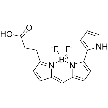 BODIPY 576/589