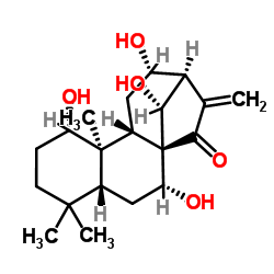 excisanin A