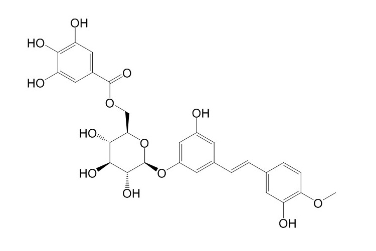 Rhaponticin 6′′-O-gallate