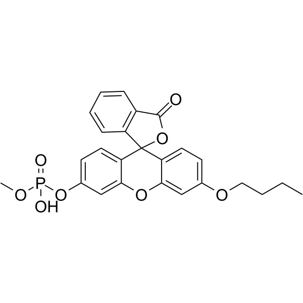 O-甲基-O-(N-丁基荧光素)磷酸酯