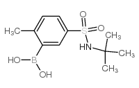 N-叔丁基-3-硼-4-甲基苯磺酰胺