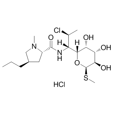 盐酸克林霉素