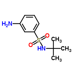 N-叔丁基-3-氨基苯磺酰胺