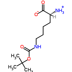 N6-叔丁氧羰基-D-赖氨酸