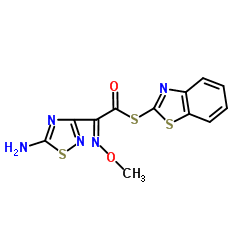 头孢地尼活性新酯