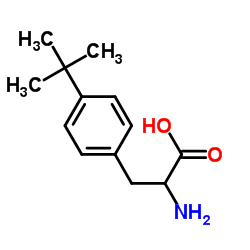 2-氨基-3-(4-(叔丁基)苯基)丙酸