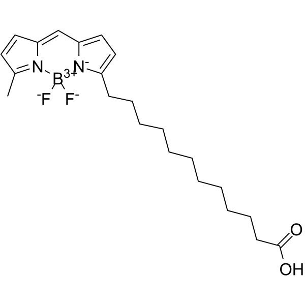 BODIPY 500/510 C1, C12