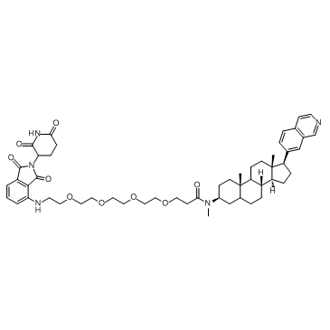 JH-XI-10-02