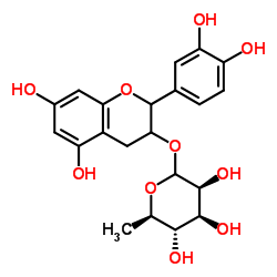 3-鼠李糖苷儿茶酚