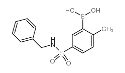 N-苄基-3-硼-4-甲基苯磺酰胺