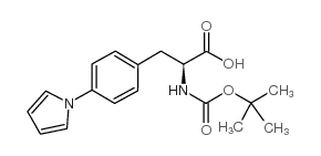 4-吡咯基-(N-叔丁氧基羰基氨基)-L-苯基丙氨酸