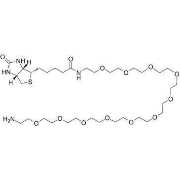 Biotin-PEG11-amine