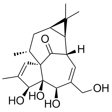 巨大戟二萜醇