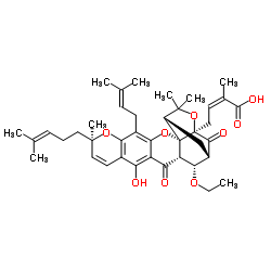 Gambogic acid B