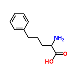 (R)-2-氨基-5-苯基戊酸