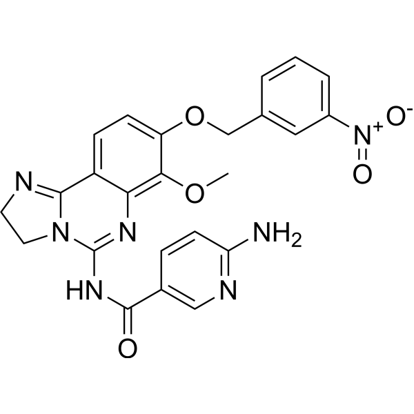 MIPS-21335