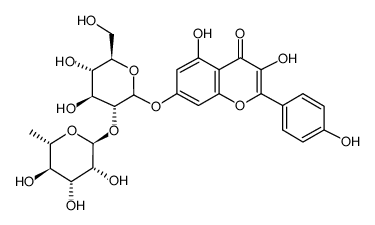 山柰酚-7-O-新橙皮糖苷