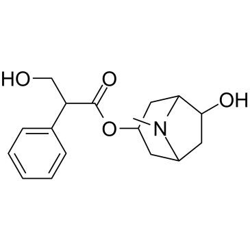 消旋山莨菪碱