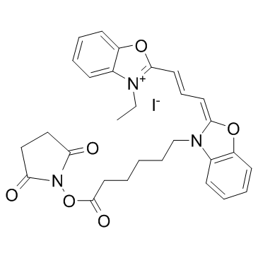 CY2-SE