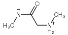 N-甲基-2-(甲基氨基)乙酰胺