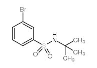 N-叔丁基-3-溴苯磺酰胺