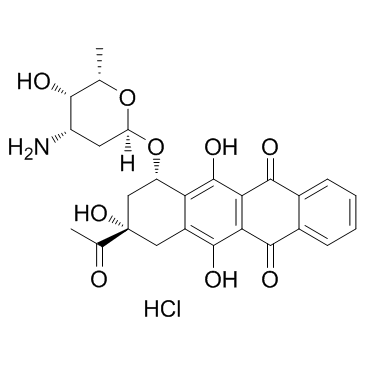 盐酸依达比星