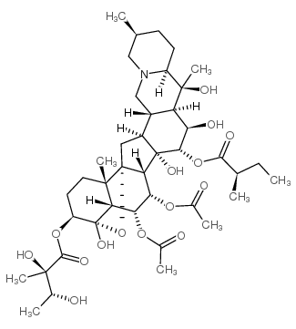 假尿嘧啶核苷