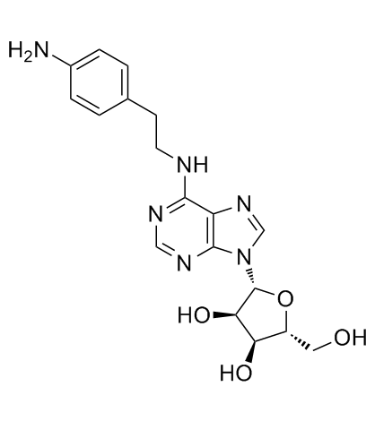 N6-2-(4-氨基苯基)乙基腺苷