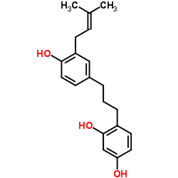 构树宁C