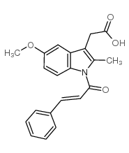 桂美辛