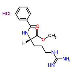 N-苯甲酰-L-精氨酸甲酯盐酸盐