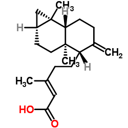 Metasequoic acid A