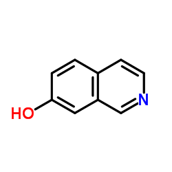 7-羟基异喹啉