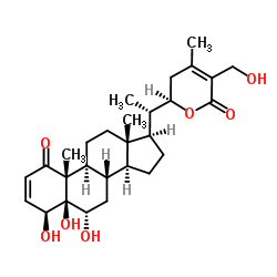 2,3-Didehydrosomnifericin