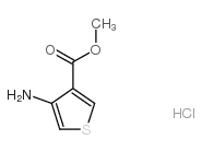 3-氨基噻吩-4-羧酸甲酯盐酸盐