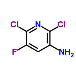 2,6-二氯-5-氟吡啶-3-胺