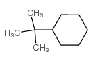 叔丁基环已烷