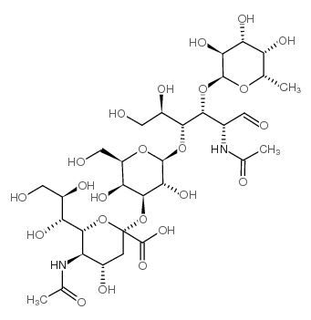 唾液酸化酶X