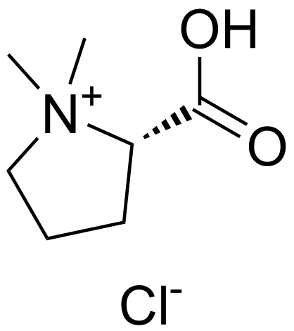 盐酸水苏碱