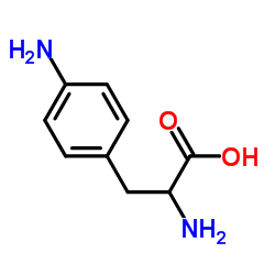 4-氨基-DL-苯丙氨酸