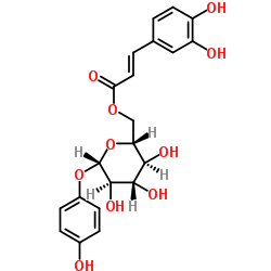 6-O-咖啡酰基熊果甙