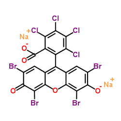 荧光桃红B