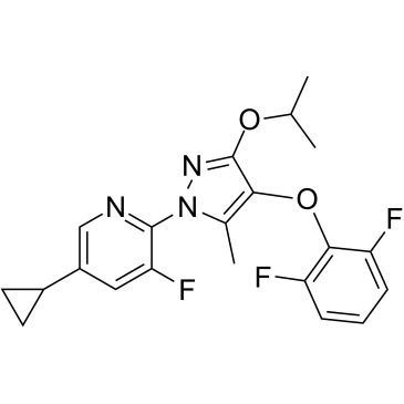 DHODH-IN-1